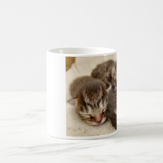 Schlafkätzchen Kaffeetasse (Mittel)