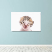 Schlafkätzchen Leinwanddruck (Insitu (Holzboden))