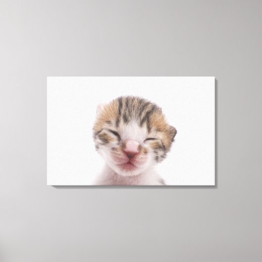 Schlafkätzchen Leinwanddruck (Vorderseite)