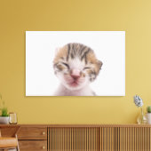 Schlafkätzchen Leinwanddruck (Insitu (Wohnzimmer))