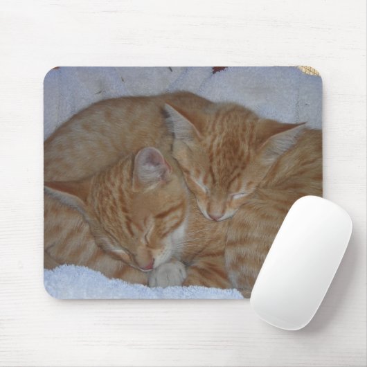 Schlafkätzchen Mousepad (Mit Mouse)