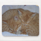 Schlafkätzchen Mousepad (Vorne)
