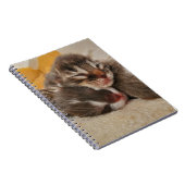 Schlafkätzchen Notizblock (Rechte Seite)