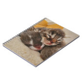 Schlafkätzchen Notizblock (Linke Seite)