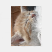 Schlafkatze Fleecedecke (Vorderseite)