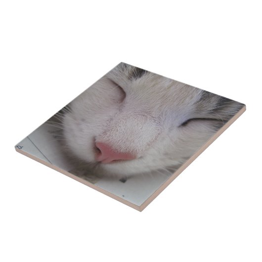 Schlafkatze Fliese (Seite)