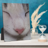 Schlafkatze Fotoplatte (Seite)