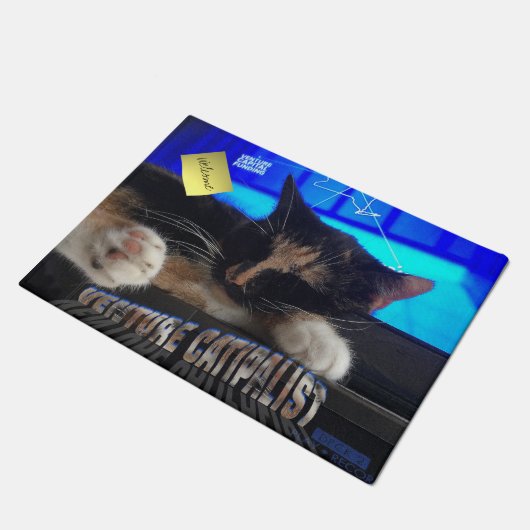 Schlafkatze Fußmatte (Schrägansicht)