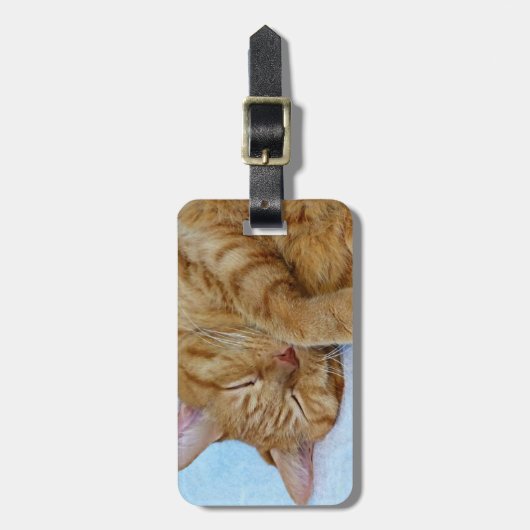 Schlafkatze Gepäckanhänger (Vorderseite vertikal)