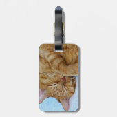 Schlafkatze Gepäckanhänger (Rückseite vertikal)