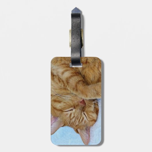 Schlafkatze Gepäckanhänger (Rückseite vertikal)