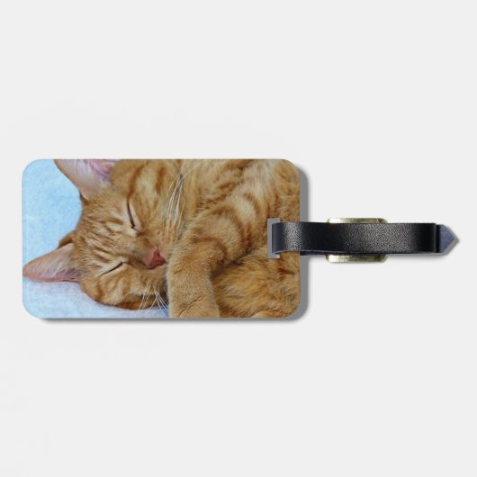 Schlafkatze Gepäckanhänger (Rückseite horizontal)