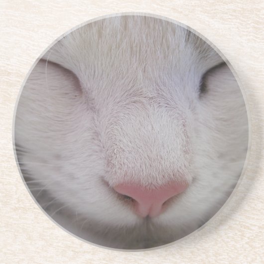 Schlafkatze Getränkeuntersetzer (Vorne)