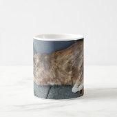 Schlafkatze Kaffeetasse (Mittel)