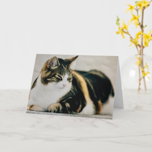 Schlafkatze Karte Calico Katze (Gelbe Blume)