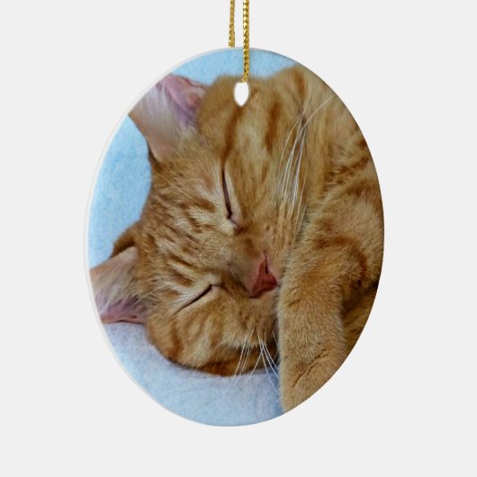 Schlafkatze Keramik Ornament (Rechts)