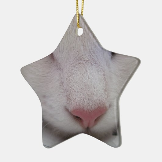 Schlafkatze Keramikornament (Links)