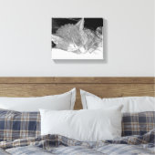 Schlafkatze Leinwanddruck (Insitu (Schlafzimmer))