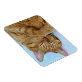 Schlafkatze Magnet (Rechte Seite)