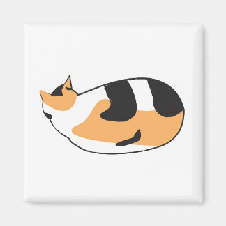 Schlafkatze Magnet