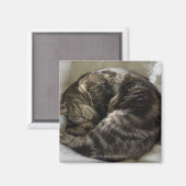 Schlafkatze Magnet (Vorderseite/Rückseite)