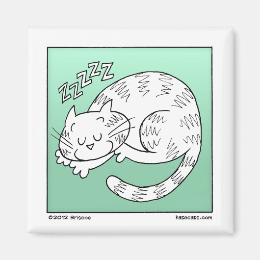 Schlafkatze Magnet (Vorne)