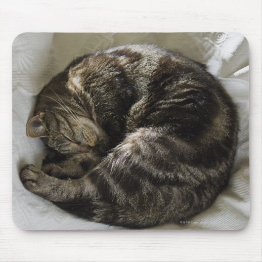 Schlafkatze Mousepad (Vorne)