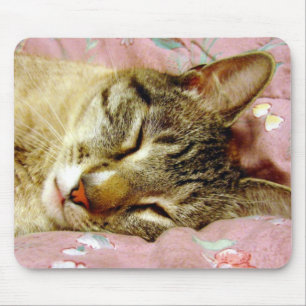 Schlafkatze Mousepad