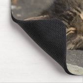 Schlafkatze Mousepad (Ecke)