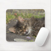 Schlafkatze Mousepad (Mit Mouse)
