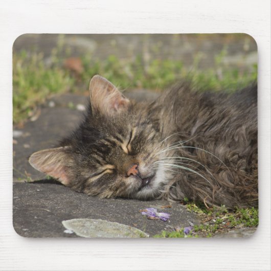 Schlafkatze Mousepad (Vorne)