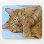 Schlafkatze Mousepad (Vorne)
