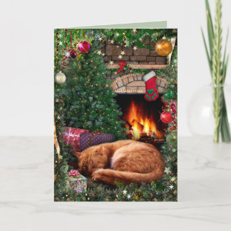Schlafkatze neben dem Kamin zu Weihnachten