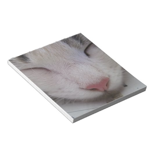 Schlafkatze Notizblock (angewinkelt)