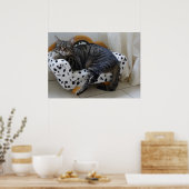 Schlafkatze Poster (Küche)