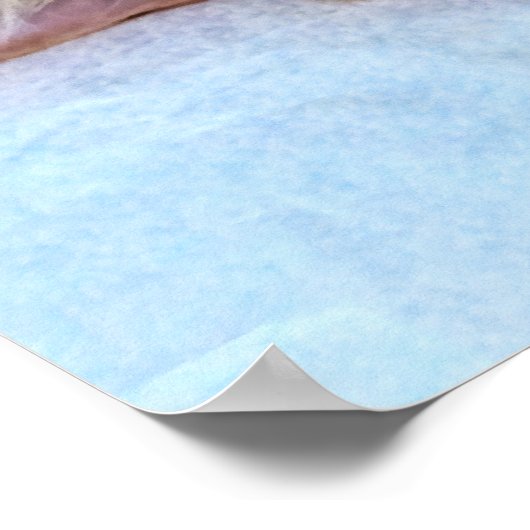 Schlafkatze Poster (Ecke)