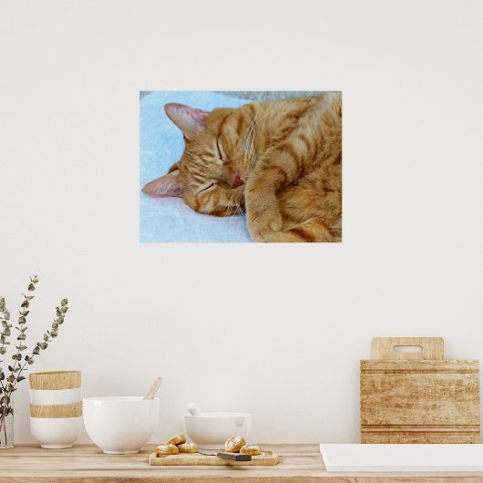 Schlafkatze Poster (Küche)