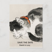 Schlafkatze Postkarte (Vorderseite)