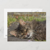 Schlafkatze Postkarte (Vorne/Hinten)