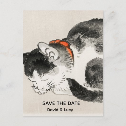 Schlafkatze Postkarte (Vorderseite)