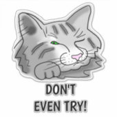 Schlafkatze Probieren Sie nicht mal! Aufkleber (Vorderseite)