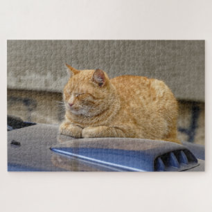 Schlafkatze Puzzle