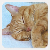 Schlafkatze Quadratischer Aufkleber (Vorderseite)