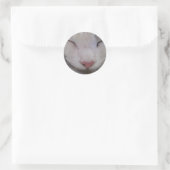 Schlafkatze Runder Aufkleber (Tasche)