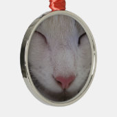 Schlafkatze Silbernes Ornament (Rechts)