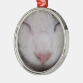 Schlafkatze Silbernes Ornament (Links)