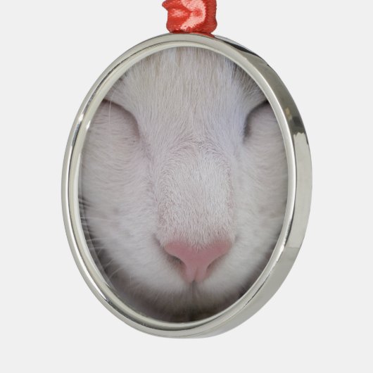 Schlafkatze Silbernes Ornament (Links)