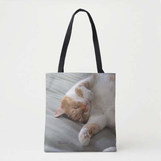 Schlafkatze Tasche (Vorderseite)