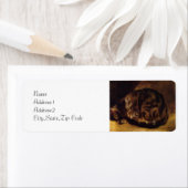 Schlafkatze von Renoir (Insitu)