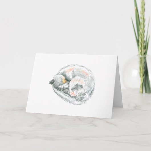 Schlafkatze Zeichnend Feiertagskarte (Vorderseite)